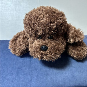 초코 강아지 인형