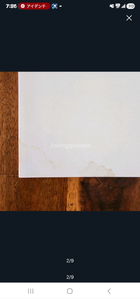 (일본 서적) 부시로드 15주년 기념 라이브 베루나 돔 타임라인 (B급) 이미지