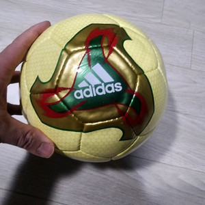 피버노바 4호 풋살공