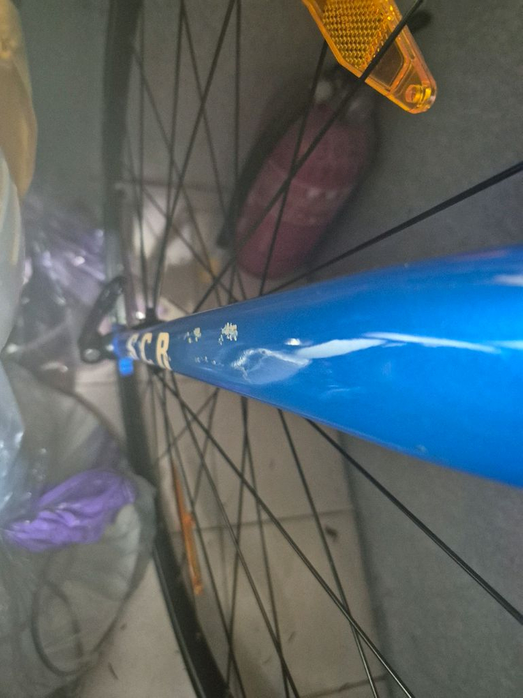 2022년식 자이언트 scr2--2