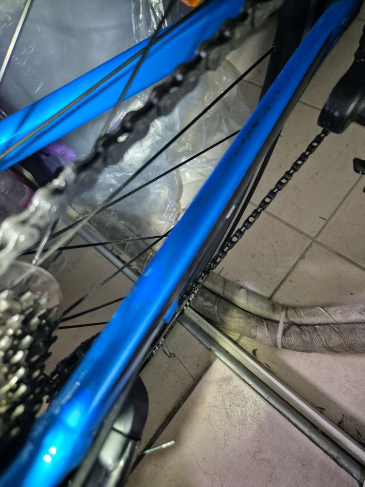 2022년식 자이언트 scr2--3