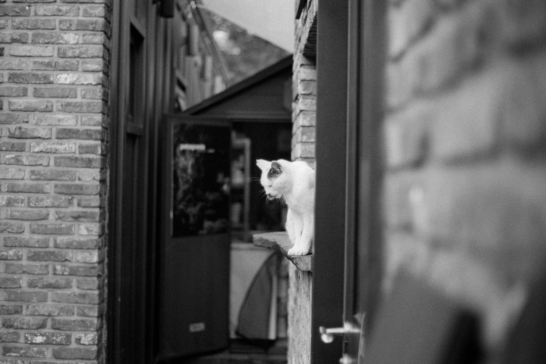 (가격 인하) 후지 리얼라, 벨비아 필름 판매--3