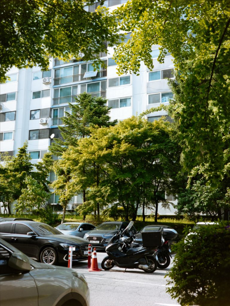 (가격 인하) 후지 리얼라, 벨비아 필름 판매--5