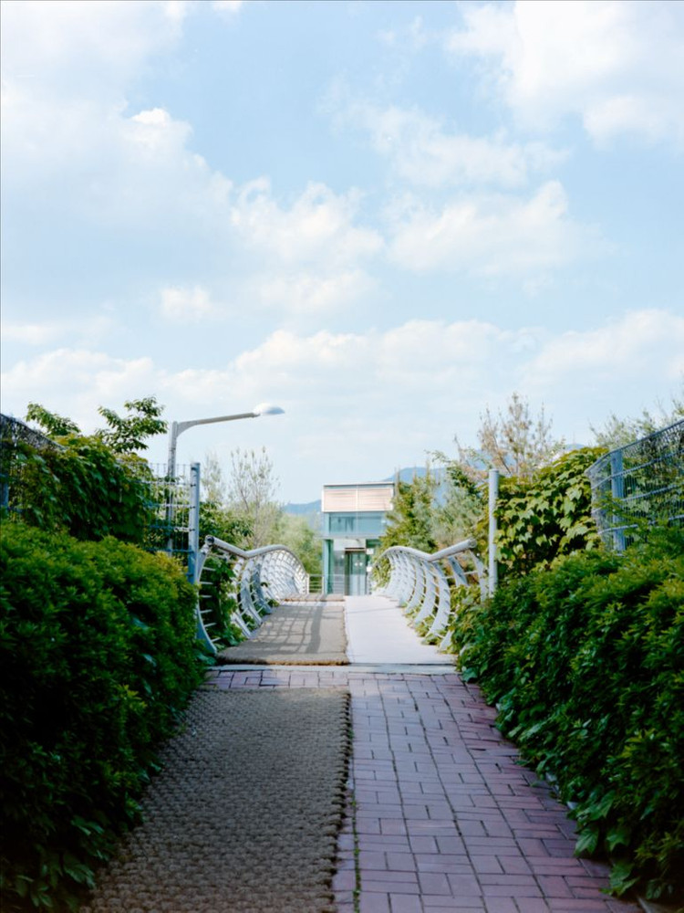 (가격 인하) 후지 리얼라, 벨비아 필름 판매--6