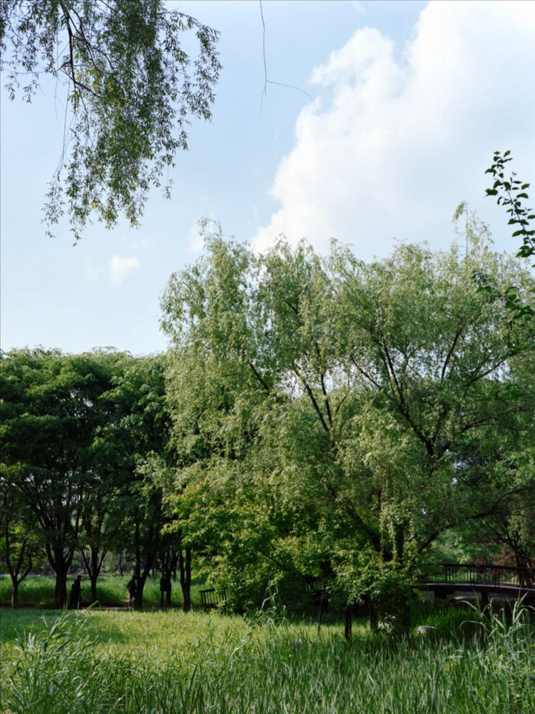 (가격 인하) 후지 리얼라, 벨비아 필름 판매--8