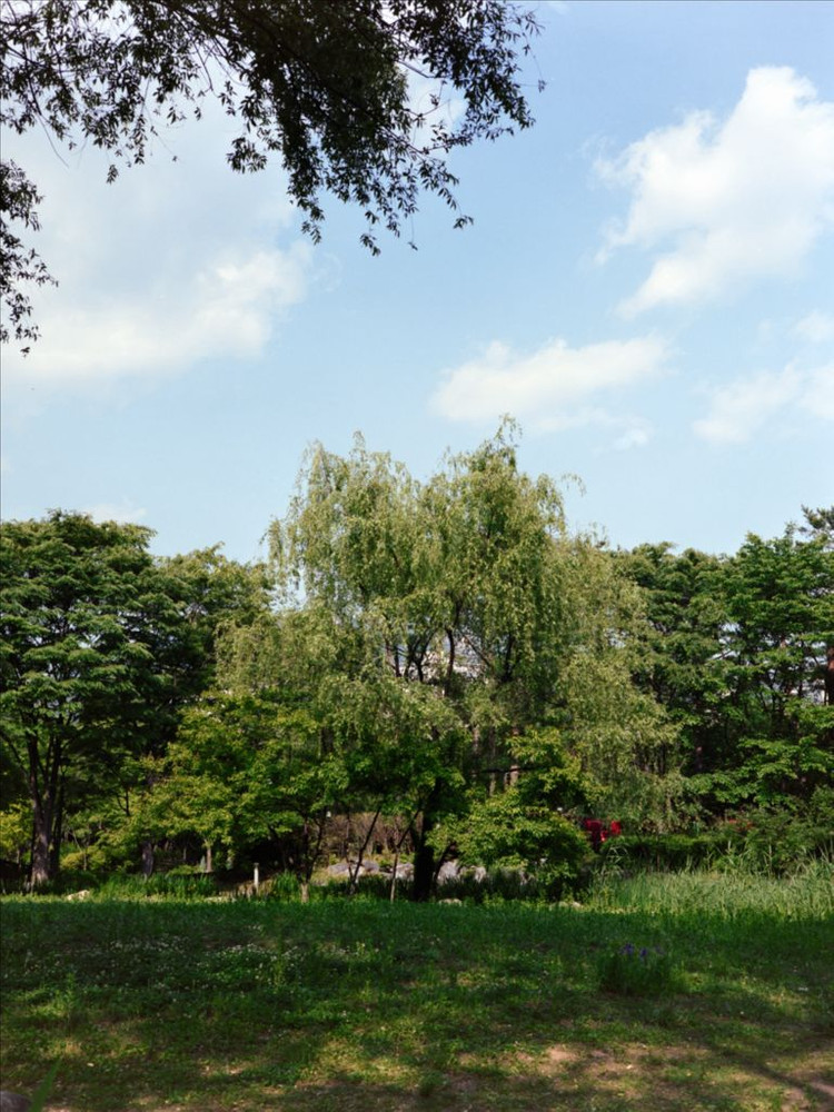 (가격 인하) 후지 리얼라, 벨비아 필름 판매--9