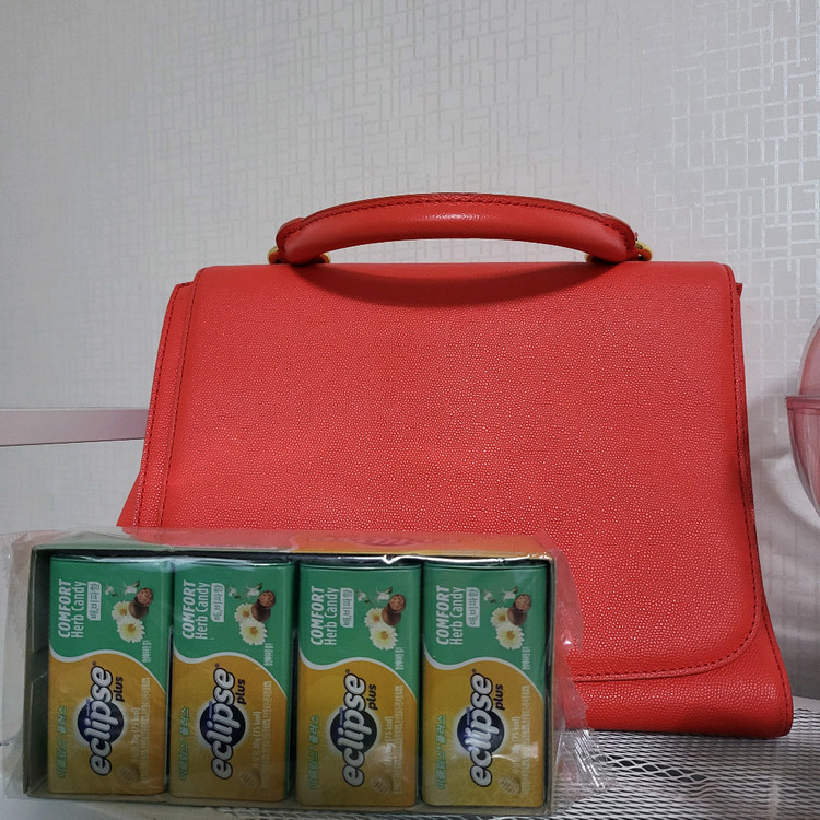 제이에스티나 숄더,크로스,토드백--6