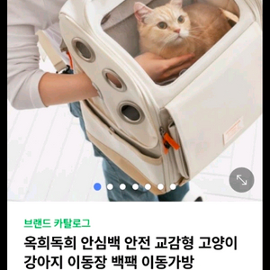 외희독희 고양이이동장 이미지