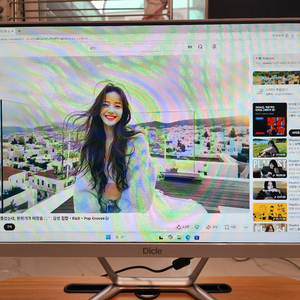 Dicle 올인원 데스크탑 PC