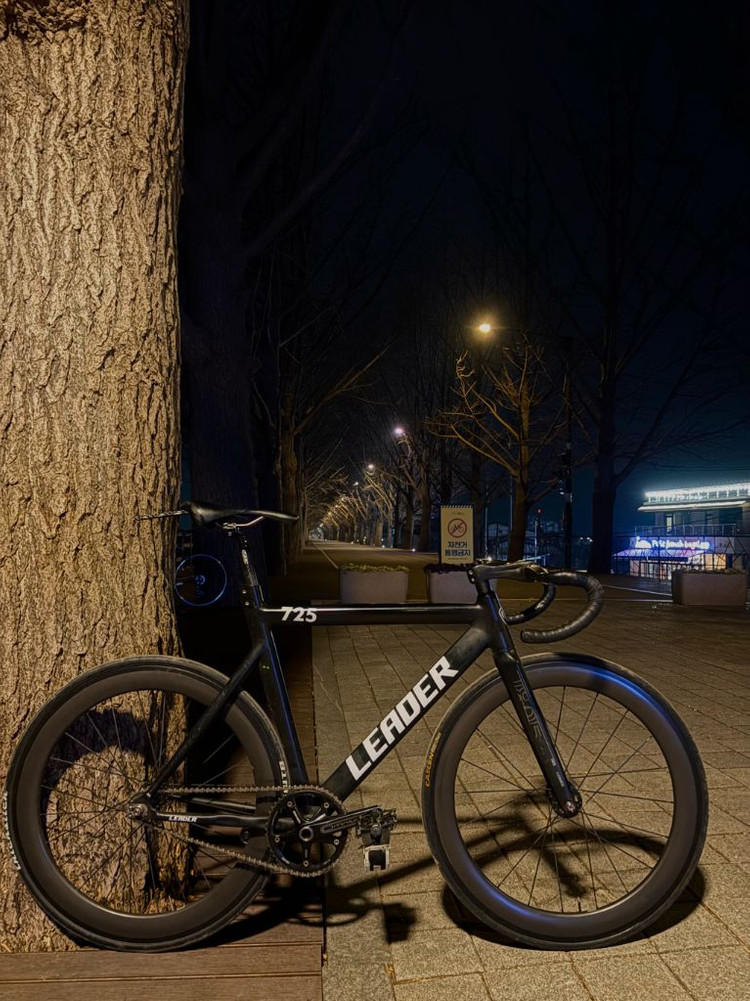 리더725픽시자전거반차 이미지
