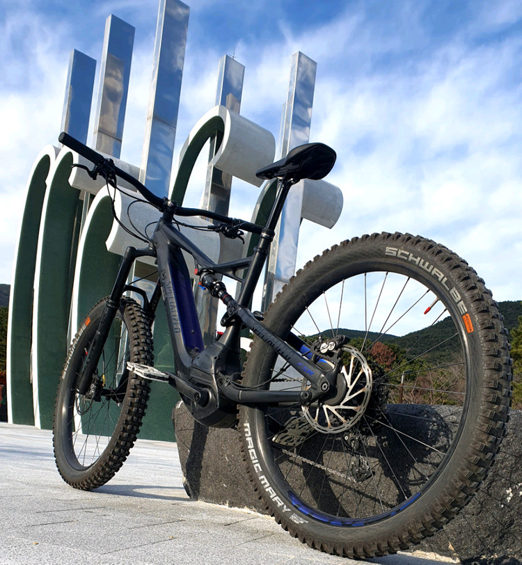 스페셜 라이즈드 전기 산악 자전거 E-MTB--2