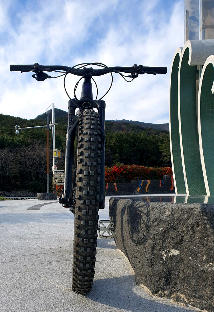 스페셜 라이즈드 전기 산악 자전거 E-MTB--6