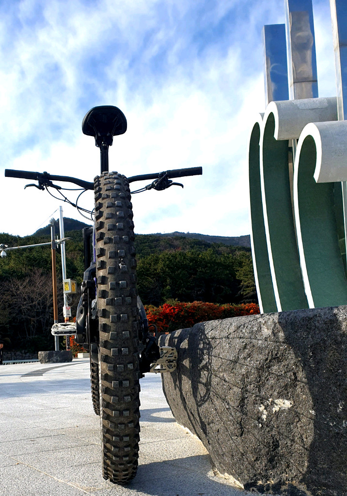 스페셜 라이즈드 전기 산악 자전거 E-MTB--7