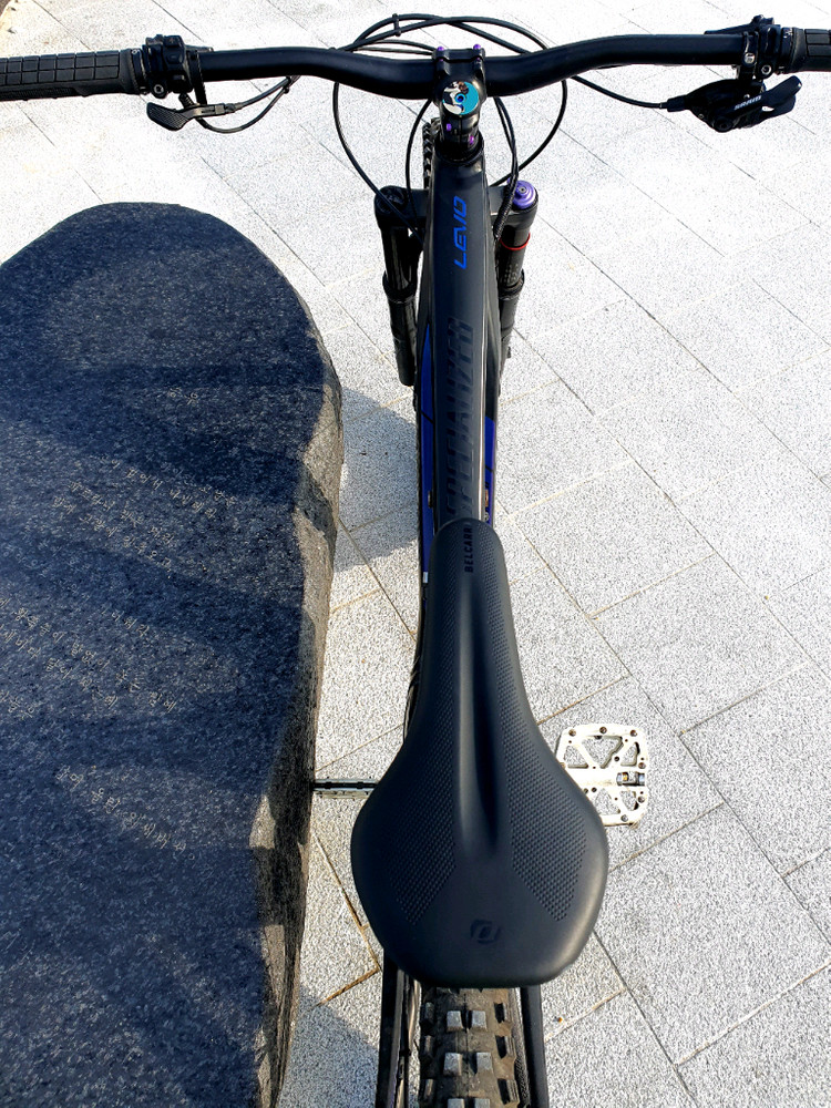 스페셜 라이즈드 전기 산악 자전거 E-MTB--8