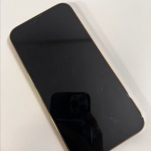 아이폰 13 프로맥스 256기가