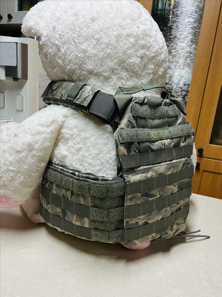 T3 gear 플레이트 캐리어(전술조끼,방탄복), s--2