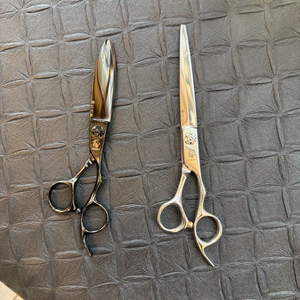 히데오 장가위, 버드 비드라이