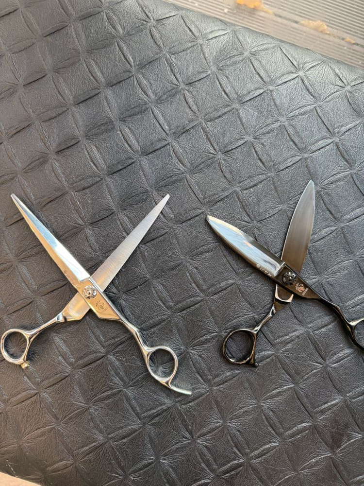 히데오 장가위, 버드 비드라이--1