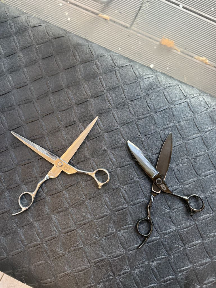 히데오 장가위, 버드 비드라이--2