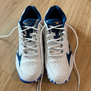 미즈노 웨이브클로4