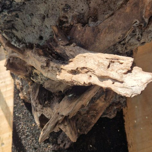 303045 비바리움 레이아웃 판매합니다