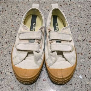 노베스타 31사이즈 이미지