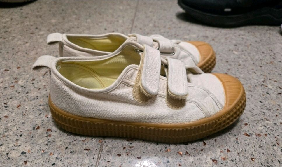 노베스타 31사이즈 이미지