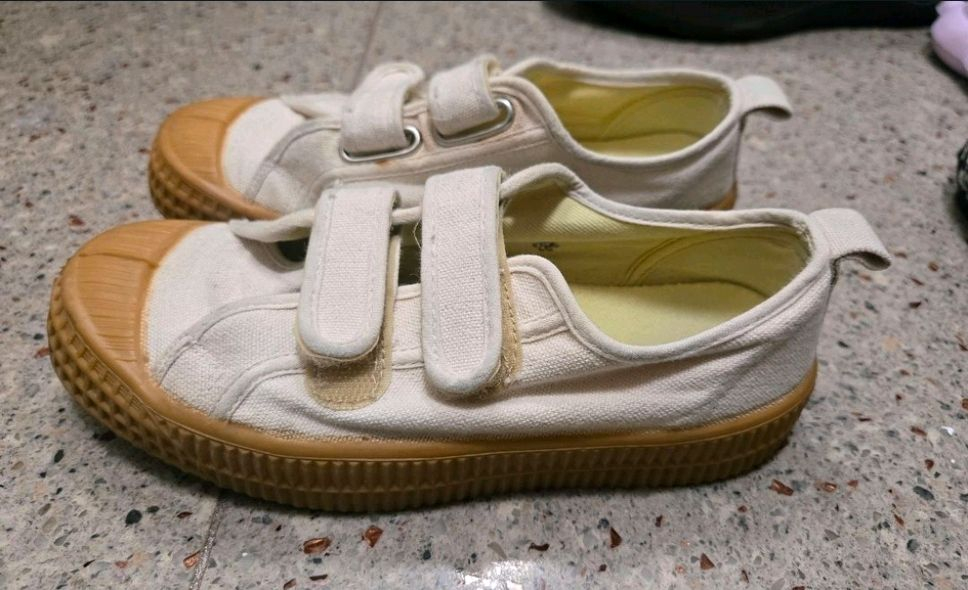 노베스타 31사이즈 이미지