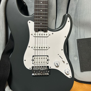 헥스 e100 + 커즈와일 kg-15엠프