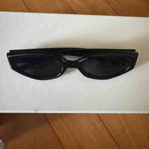 마르지엘라 젠틀몬스터 선글라스