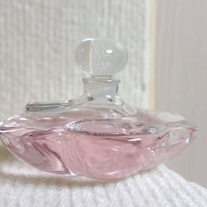 빈티지 시세이도 카멜리아 수페리어 40ml 이미지