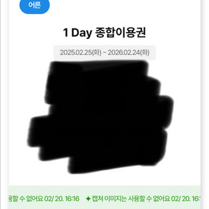 부산 롯데월드 자유이용권 2장 이미지