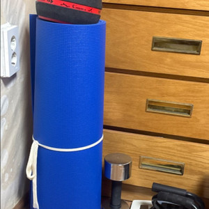 파란색 요가매트 + 덤벨 & 푸쉬업바 세트