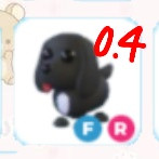 입양하세요 날타 왕궁 스패니얼 이미지