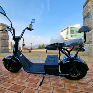 필립스 할리2인용 전기스쿠터