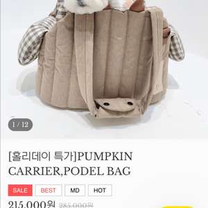 강아지 이동가방