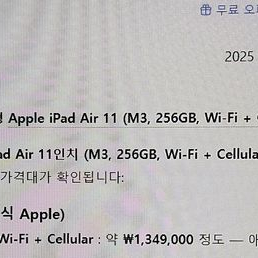 태블릿 11인치 256GB 셀룰러