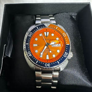 세이코 터틀 니모 이미지