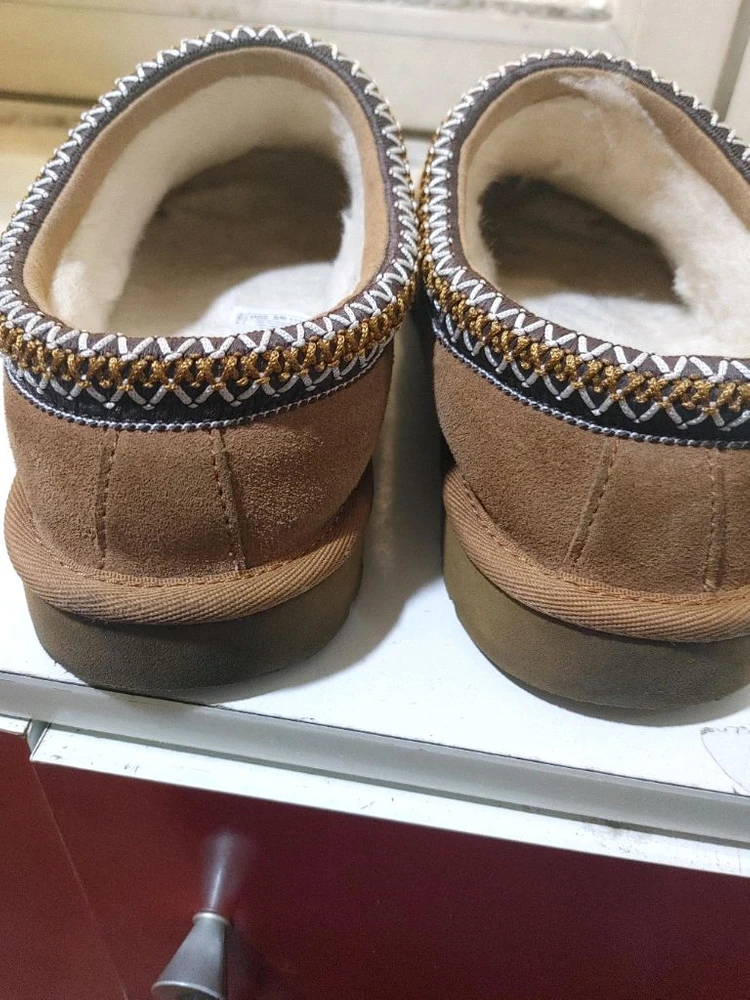 어그 타스만 250 이미지