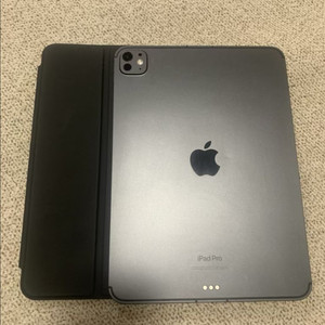 아이패드프로 M4 11인치 256GB 셀룰러+wifi