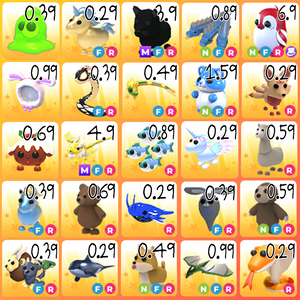 입양하세요 펫 상점 이미지