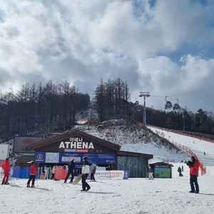 [거래완료] 하이원 콘도 - 3/13(금)~3/15(일) 2박3일(40평)