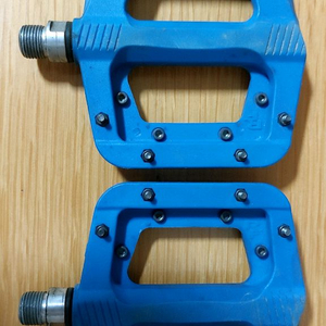 레이스페이스 체스터 페달