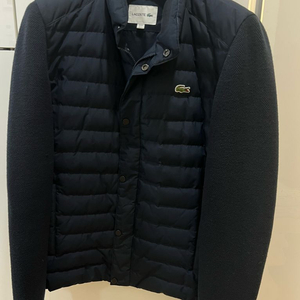 라코스테 니트패딩 L