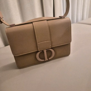 가방 명품 스타일 백 디올