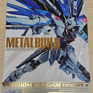메탈빌드 프리덤 메탈로봇혼 뉴건담 스리덤 MG풀아머건담 RG지옹 외