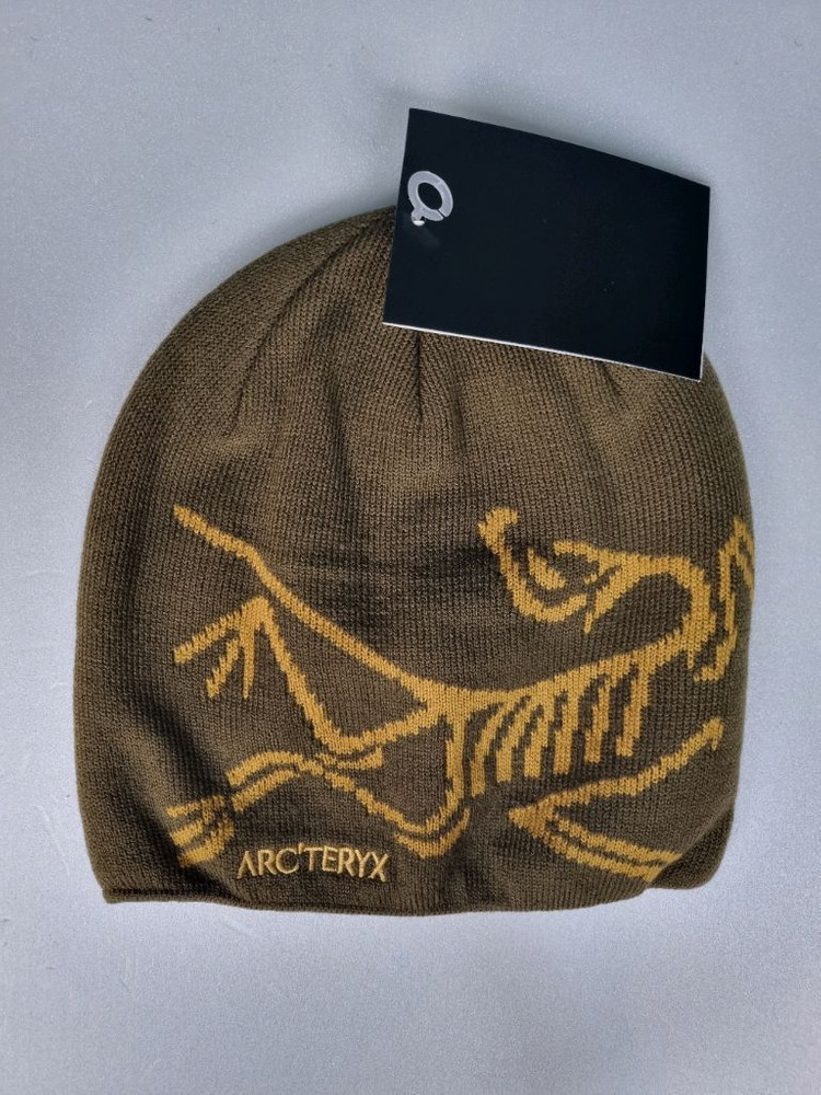 아크테릭스 비니.버드헤드토크--3