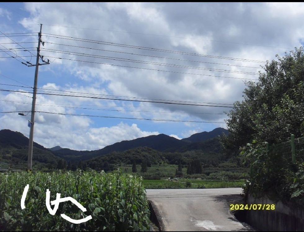 삼성 디카 판매 이미지