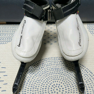 시티런 스케이트 220