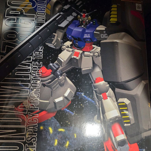 mg사이살리스 이미지